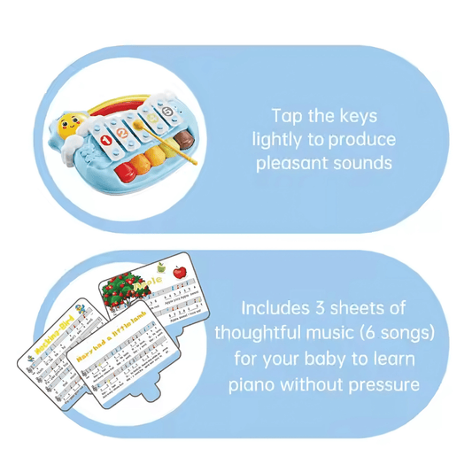 2 - in - 1 Music Forest Piano Toy – 8 - Key - Twisoo