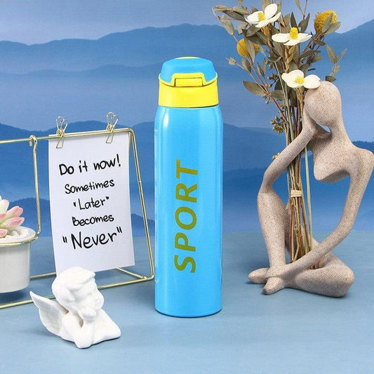 Stainless Steel Thermal Sports Water Bottle (500ml) 🥤💪 - Twisoo