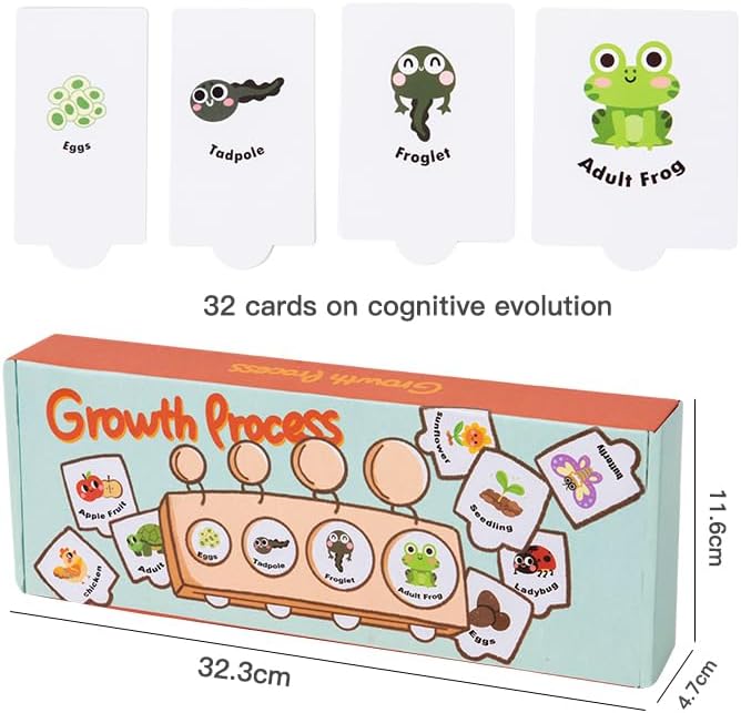 Montessori Wooden Animal Growth Process Puzzle Toy for Kids