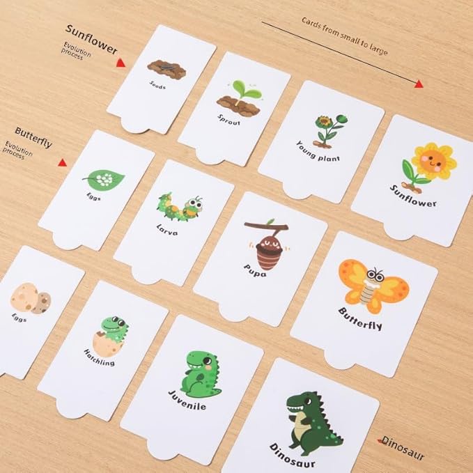 Montessori Wooden Animal Growth Process Puzzle Toy for Kids